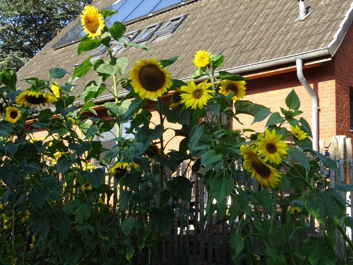 Peanuts Hostel & Meer Surendorf Екстериор снимка